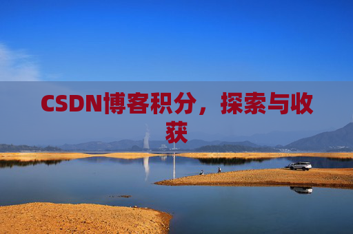 CSDN博客积分，探索与收获